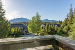 Snowgoose 11 - Image 5