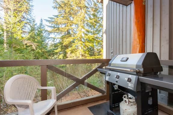 Close to Village, Shared Hot Tub, Parking, Shuttle - Image 3