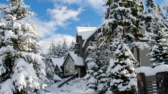 Snowgoose 11 - Image 1